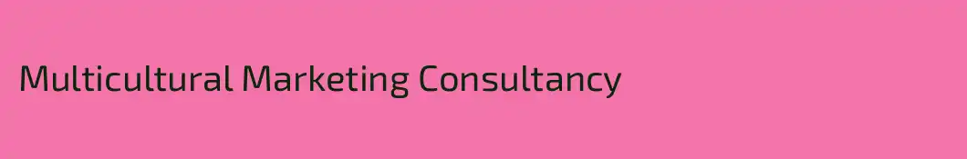 Multicultural Marketing Consultancy